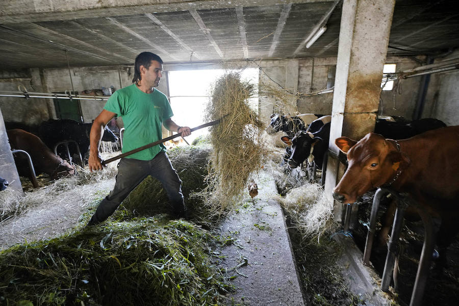 Gorka Iruretagoiena es un joven guipuzcoano que está orgulloso de formar parte del grupo de especialistas que hace sustituciones en un mundo, el rural, en el que es complejo tener días de fiesta