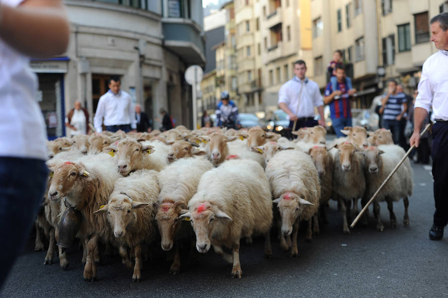 Las productoras de leche llegaron el domingo hasta el centro de Eibar en una animada feria que ofreció lana, esquilada y trabajada, y quesos del Bajo Deba.