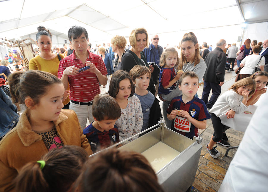 Las productoras de leche llegaron el domingo hasta el centro de Eibar en una animada feria que ofreció lana, esquilada y trabajada, y quesos del Bajo Deba.