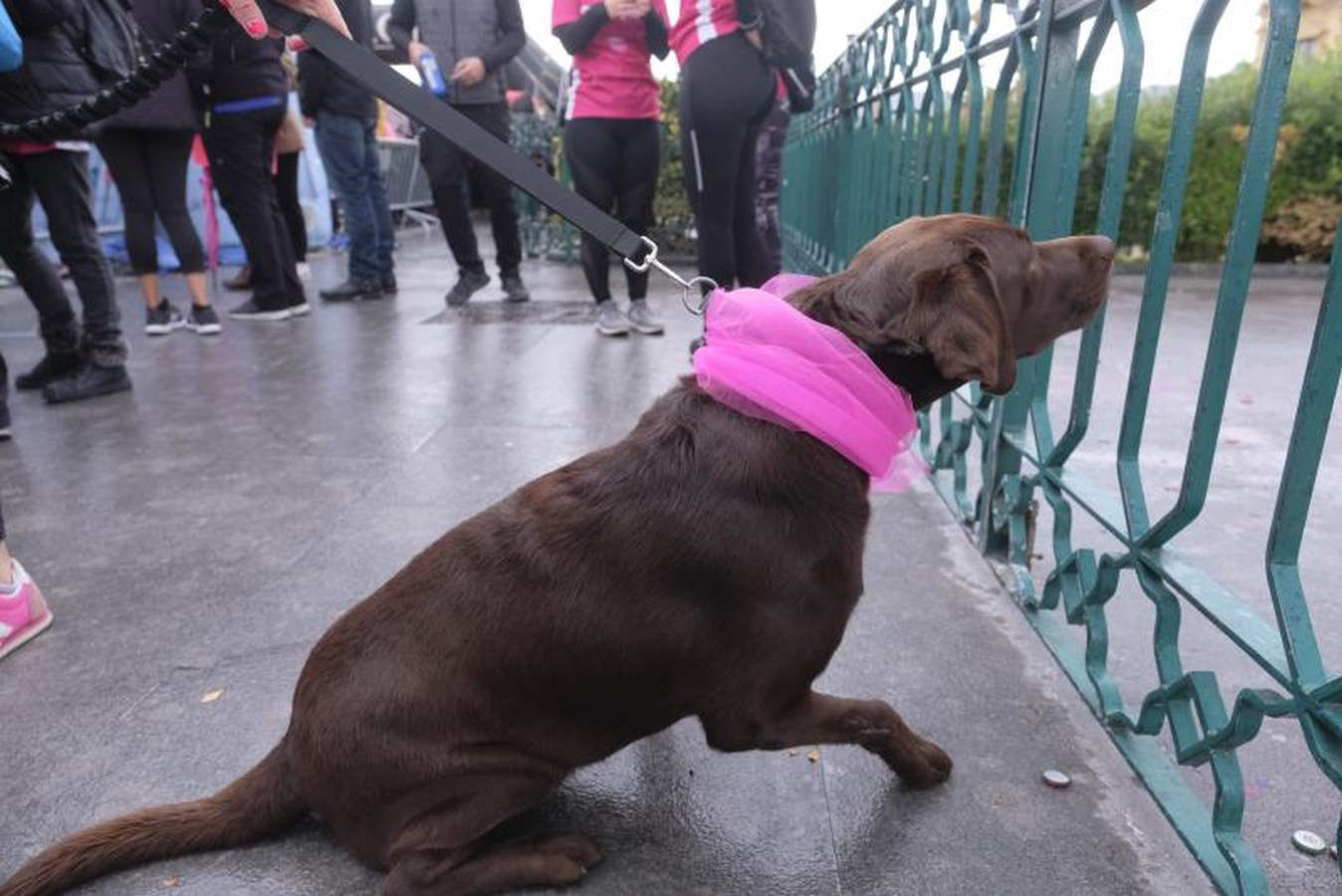 La Asociación Guipuzcoana Katxalin de Apoyo a Mujeres afectadas por el Cáncer de Mama y/o Ginecológico ha salido este domingo a la calle por la séptima marcha solidaria, que ha salido y llegado a Alderdi Eder