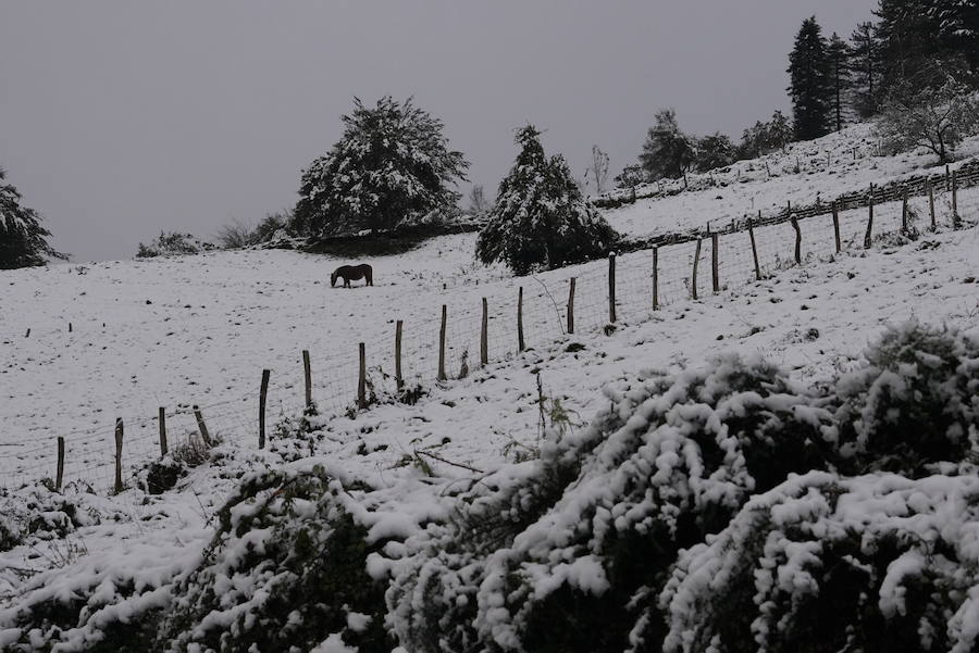 Localidades como Berastegi han amanecido bajo un manto blanco
