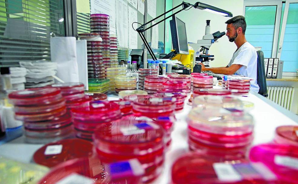 El laboratorio de los 41.000 análisis diarios | El Diario Vasco