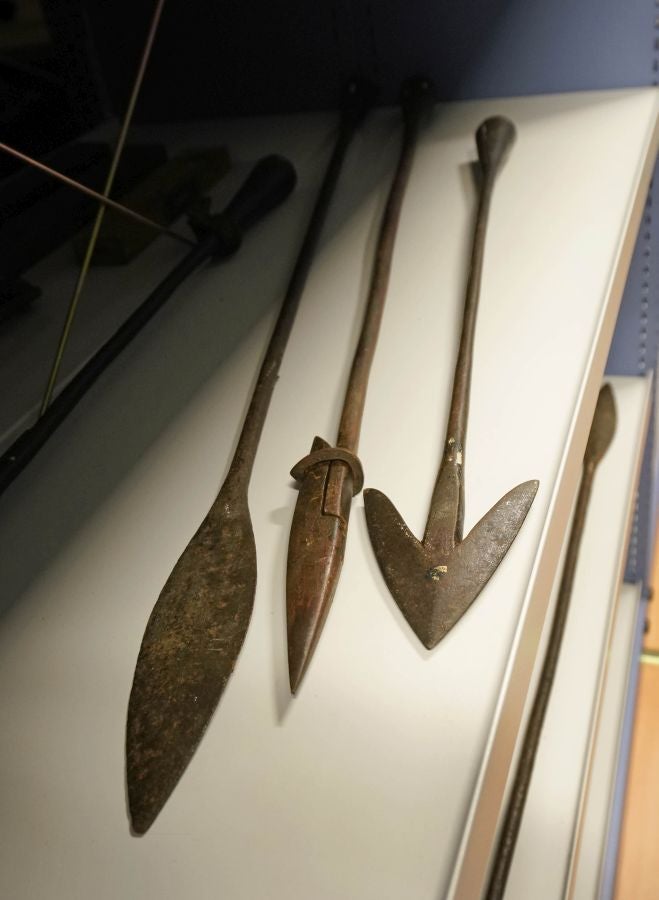 Un almacén oculto en un barrio de Donostia atesora miles de joyas que no tienen cabida en el Aquarium 