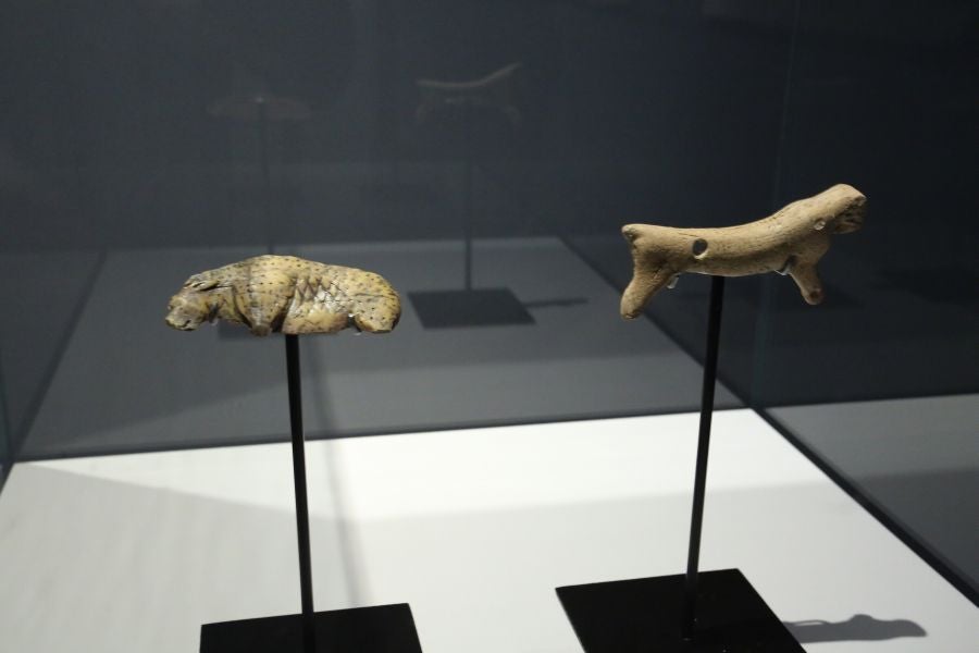 Además del espectacular esqueleto del león de Arrikutz, la exposición, cuenta con otras 16 piezas entre fósiles originales, réplicas y piezas de arte rupestre, así como con un audiovisual.