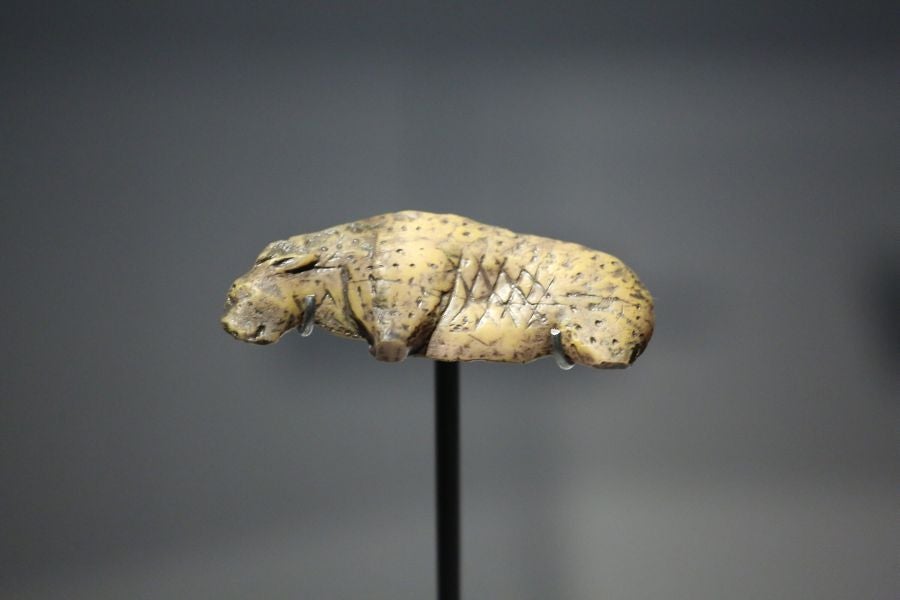 Además del espectacular esqueleto del león de Arrikutz, la exposición, cuenta con otras 16 piezas entre fósiles originales, réplicas y piezas de arte rupestre, así como con un audiovisual.