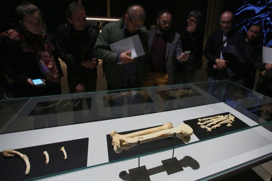 Además del espectacular esqueleto del león de Arrikutz, la exposición, cuenta con otras 16 piezas entre fósiles originales, réplicas y piezas de arte rupestre, así como con un audiovisual.