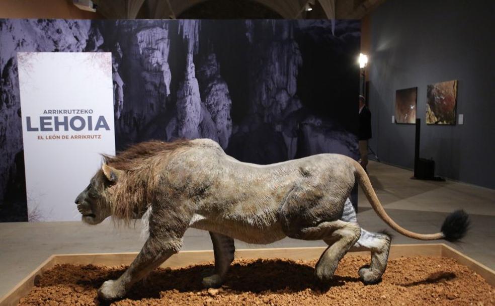 El león de Arrikrutz ya está en el Museo San Telmo de Donostia