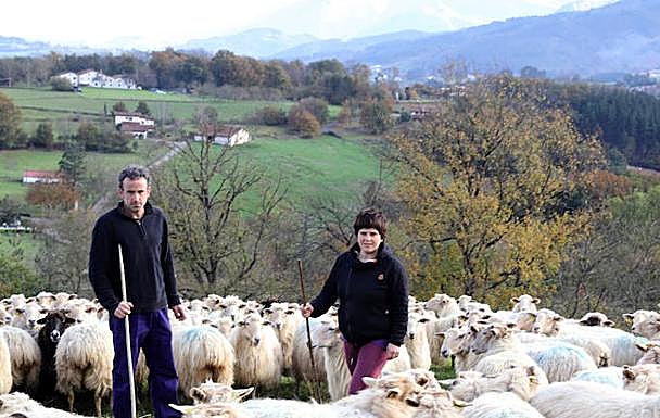 Imagen principal - «No nos veíamos toda la vida entre cuatro paredes», afirman Jon y Martina, que cambiaron la cocina por el pastoreo y hoy viven felices en su casa y quesería Garoa de Zerain