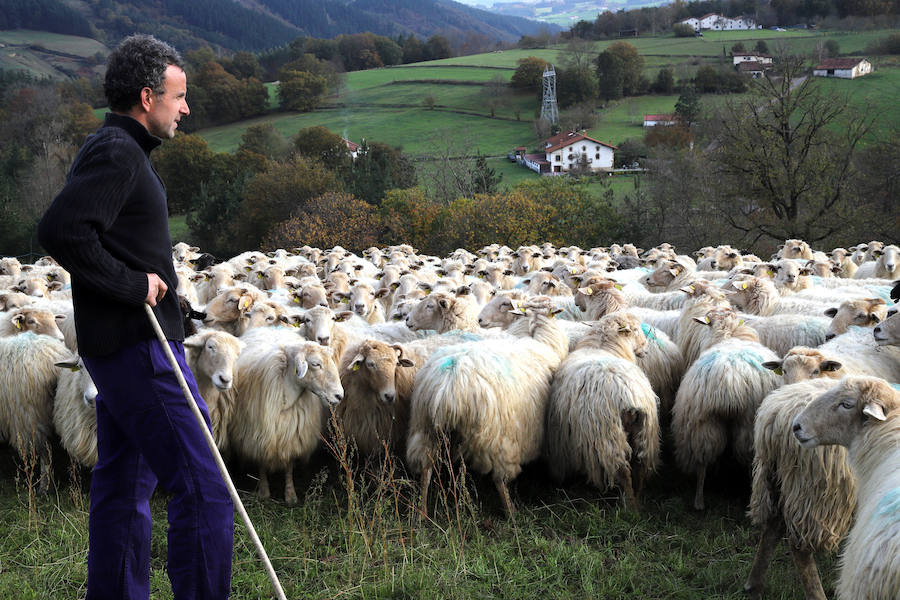 Jon y Martina cambiaron la cocina por el pastoreo y hoy viven felices en su casa y quesería Garoa de Zerain.