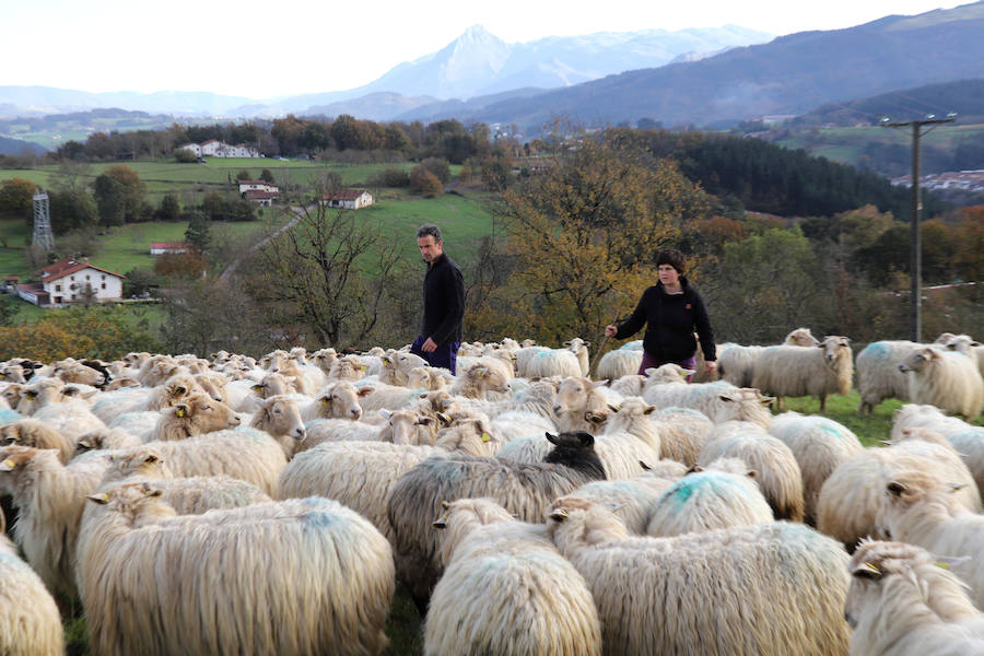 Jon y Martina cambiaron la cocina por el pastoreo y hoy viven felices en su casa y quesería Garoa de Zerain.