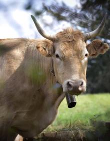 Imagen secundaria 2 - El conflicto asciende por las pistas de Aralar