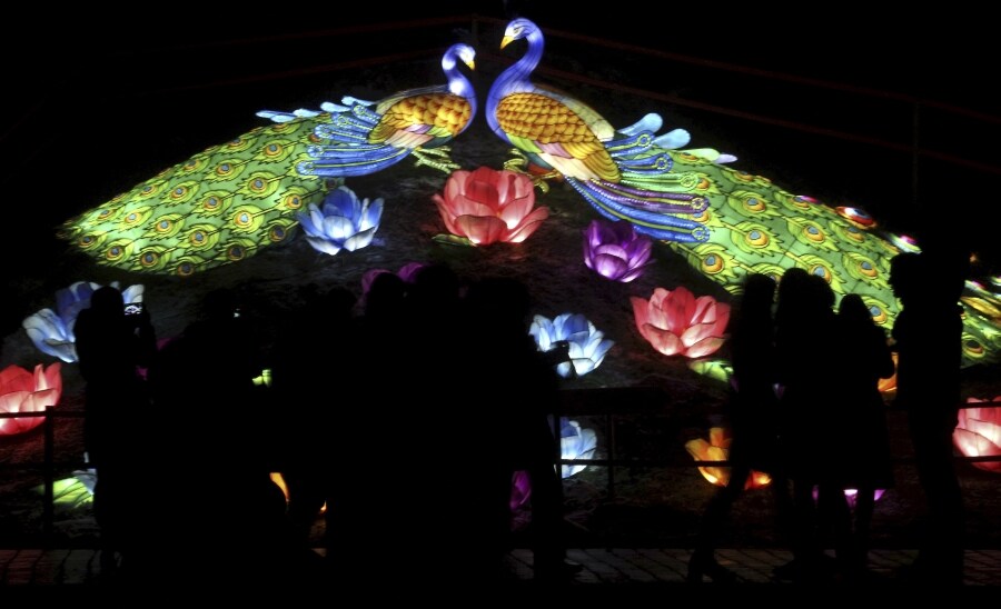 Decenas de curiosos disfrutan del Festival de luces de los Grandes Farolillos de China, en la mansión de Pakruojis, Lituania. Este festival da comienzo a la temporada estival y se prolonga hasta el 6 de enero de 2019.