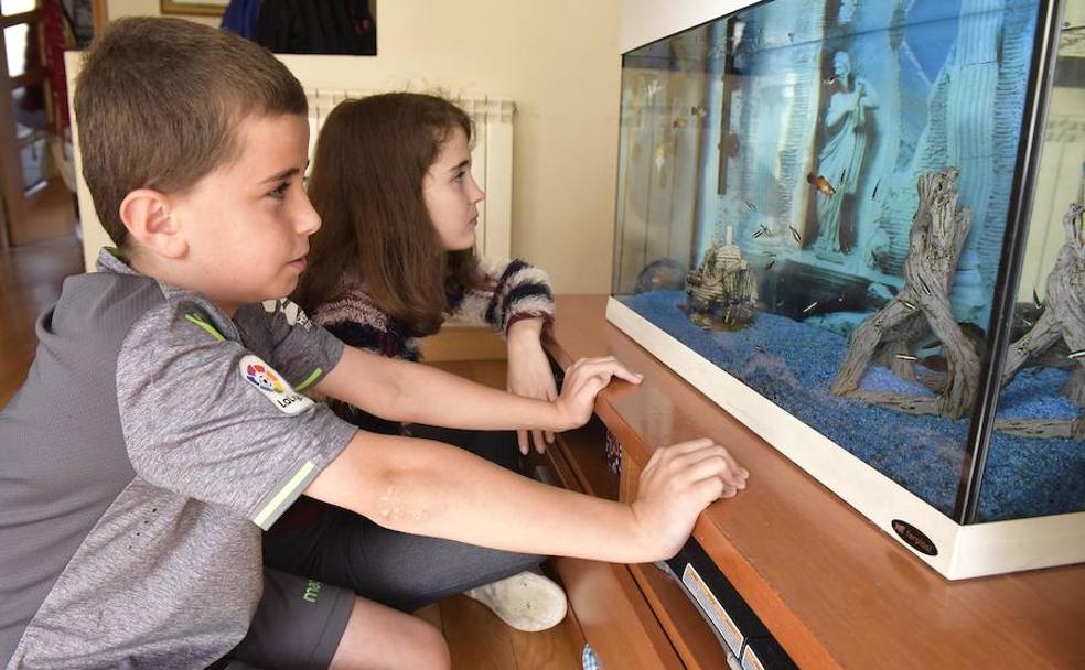 Urki, con la camiseta de la Real, y Alaia se entretienen con la pecera de la sala de estar de su vivienda en Irura. 