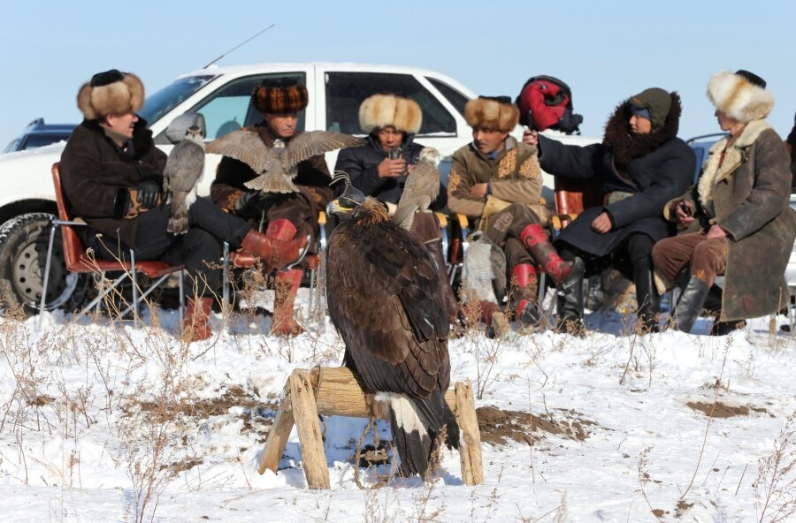 Los participantes del concurso de caza tradicional con cetrería en Almaty, Kazajistán, esperan su turno, con sus aves, bajo el frío invernal de diciembre.