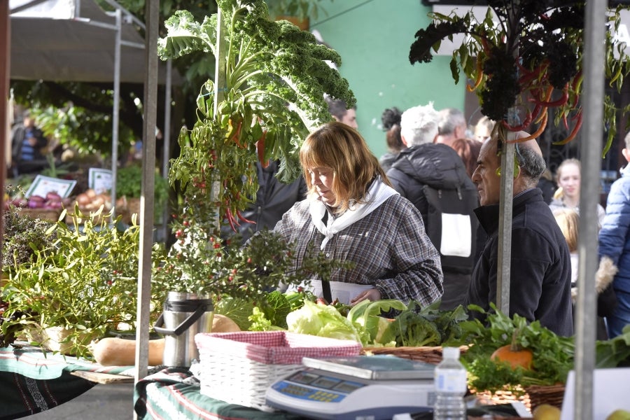 Ormaiztegi ha celebrado la Feria agrícola, con concursos incluído. Los vecinos de la localidad han podido disfrutar del concurso de morcilla, y de los componentes de la morcilla, así como de platos elaborados a base de morcilla.