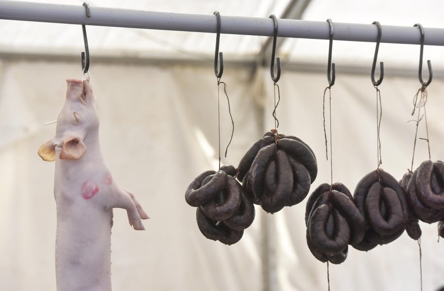 Ormaiztegi ha celebrado la Feria agrícola, con concursos incluído. Los vecinos de la localidad han podido disfrutar del concurso de morcilla, y de los componentes de la morcilla, así como de platos elaborados a base de morcilla.