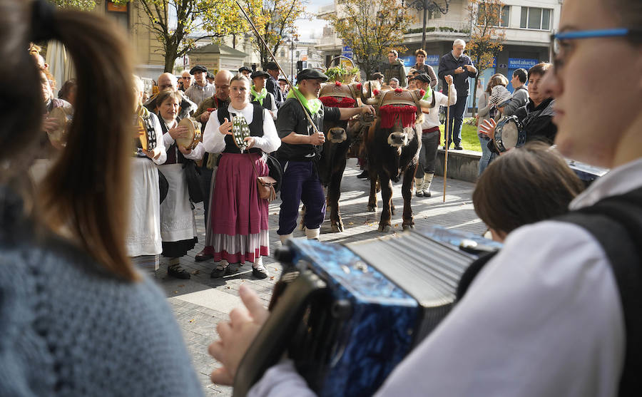 Los componentes de Jo ala Jo Taldea de Arizkun han inaugurado este jueves la V Sagardo Apurua en el Boulevard donostiarra. Sagardo Route-Asociación de Sidrerías de Gipuzkoa