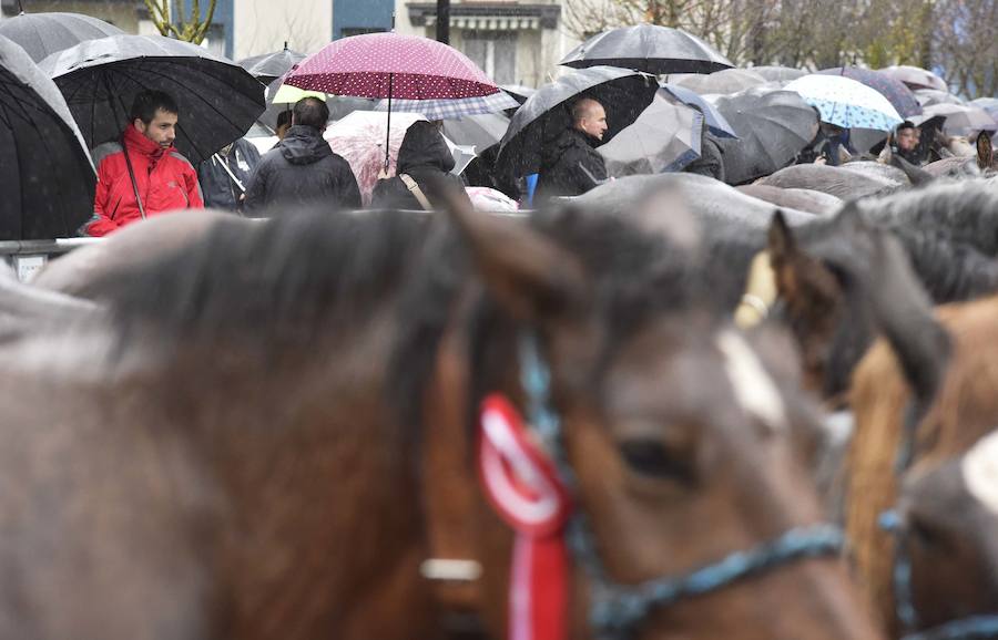 La Feria de Santa Lucía se ha celebrado este jueves con gran éxito en Zumarraga y Urretxu, con 414 puestos de venta de productos agrícolas, ganaderos, de repostería y artesanía.