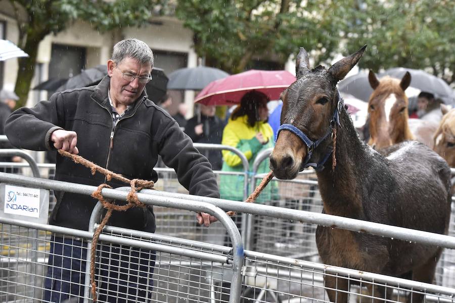 La Feria de Santa Lucía se ha celebrado este jueves con gran éxito en Zumarraga y Urretxu, con 414 puestos de venta de productos agrícolas, ganaderos, de repostería y artesanía.