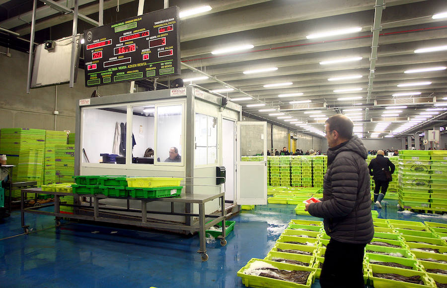 La lonja de Pasaia vivió ayer una agitada madrugada, con decenas de mayoristas, minoristas y pescateros en busca del mejor producto que trajeron los barcos.