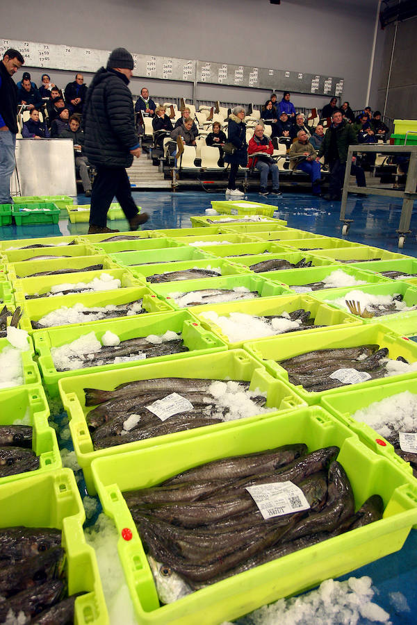 La lonja de Pasaia vivió ayer una agitada madrugada, con decenas de mayoristas, minoristas y pescateros en busca del mejor producto que trajeron los barcos.