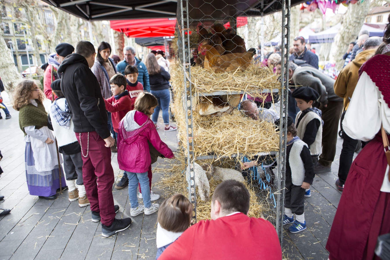 En la Plaza de Urdanibia se ha celebrado la tradicional feria de Santo Tomás con el concurso de Verduras, Animales y Miel y con la actuación de grupos de Dantza y Trikitixas.