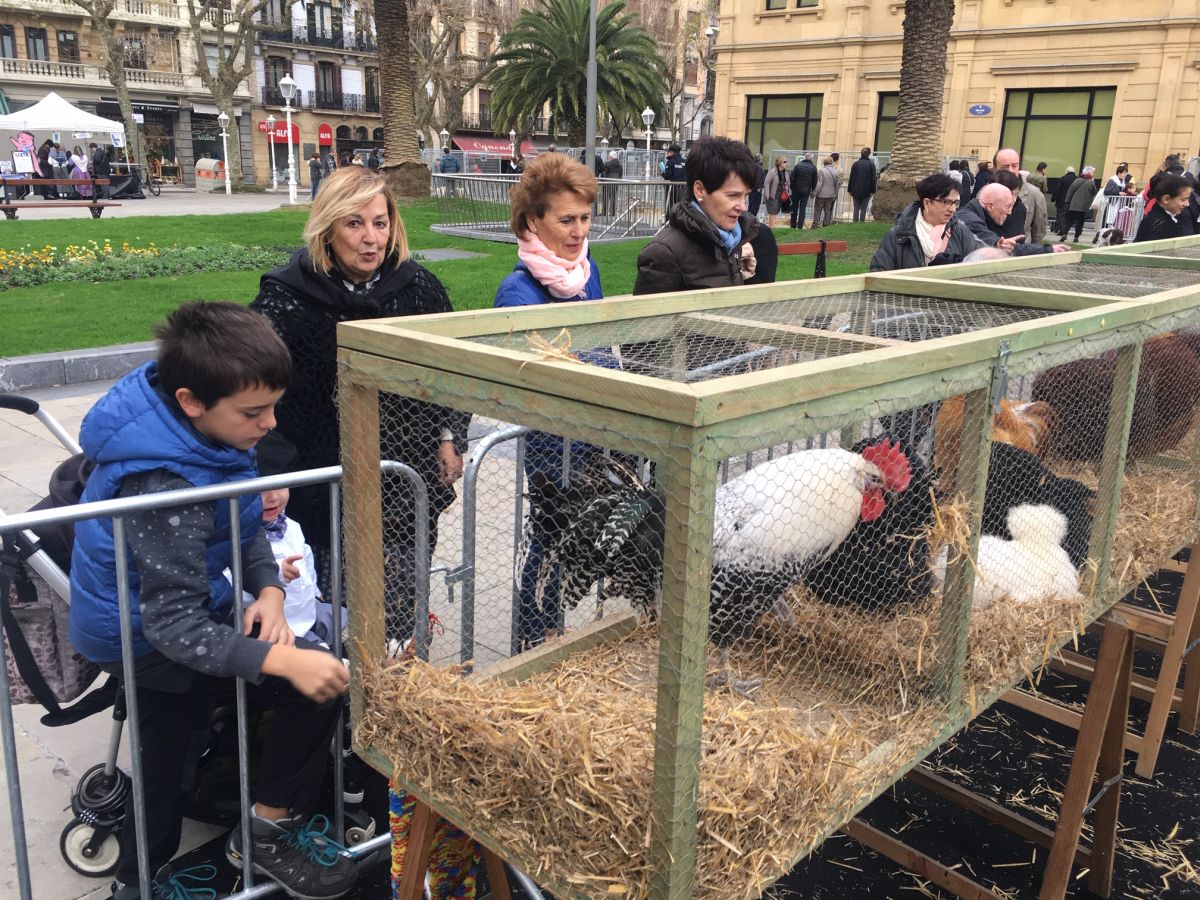 Donostia se viste de tradición y buen ambiente por Santo Tomás. Los diferentes puestos de talos y txistorra funcionan a pleno rendimiento desde primera hora, y los puestos de verduras, frutas, reposteria, pan y artesanías contribuyen a dar color a la ciudad. 