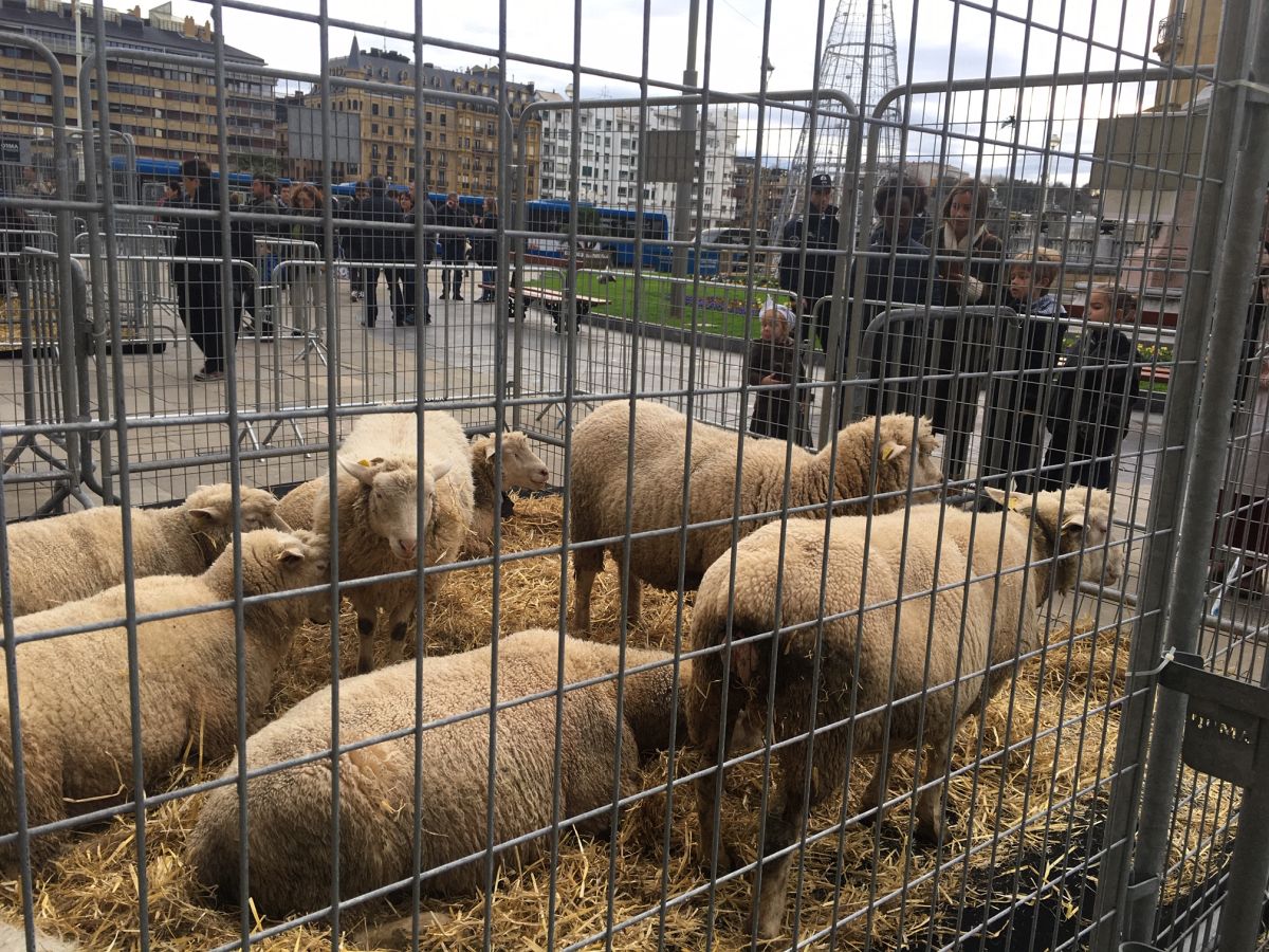 Donostia se viste de tradición y buen ambiente por Santo Tomás. Los diferentes puestos de talos y txistorra funcionan a pleno rendimiento desde primera hora, y los puestos de verduras, frutas, reposteria, pan y artesanías contribuyen a dar color a la ciudad. 