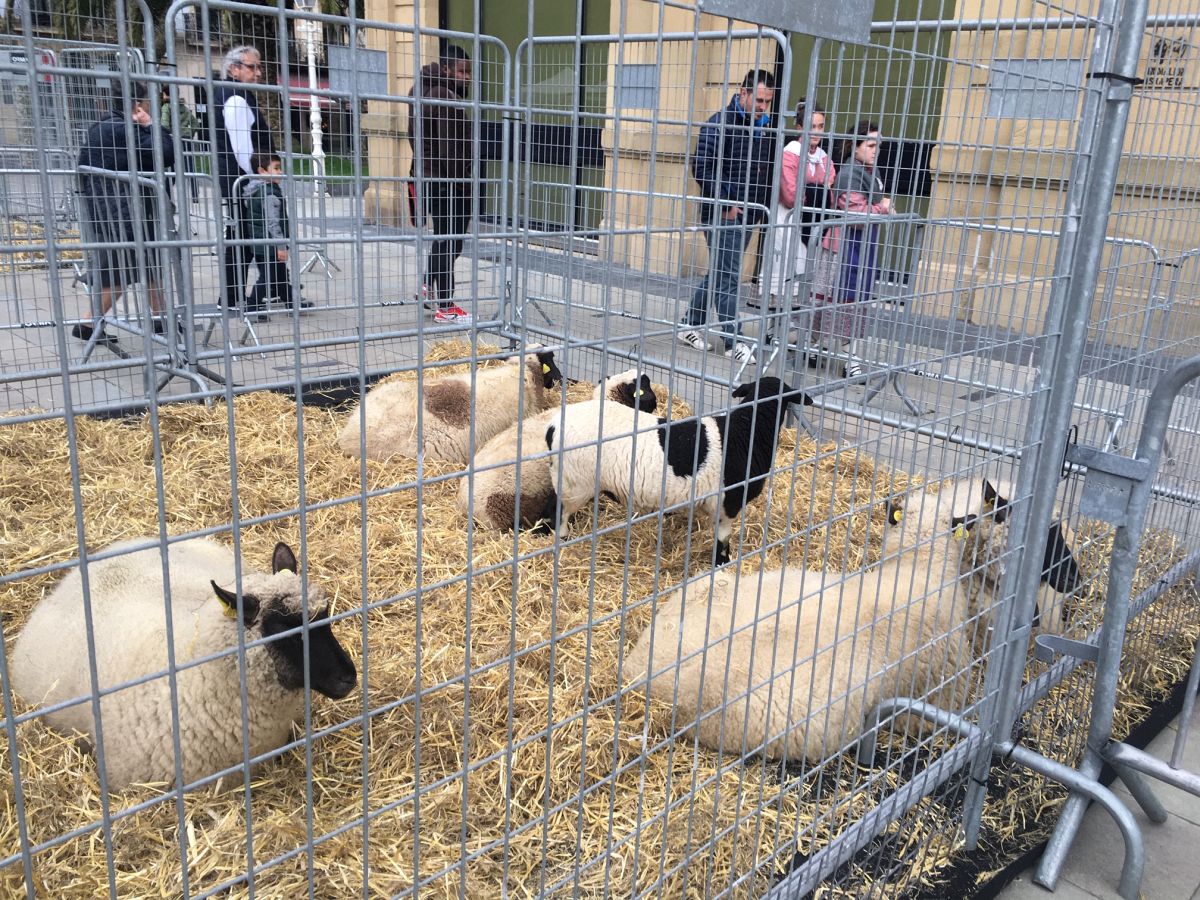 Donostia se viste de tradición y buen ambiente por Santo Tomás. Los diferentes puestos de talos y txistorra funcionan a pleno rendimiento desde primera hora, y los puestos de verduras, frutas, reposteria, pan y artesanías contribuyen a dar color a la ciudad. 