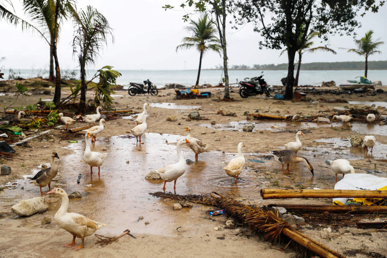 Los equipos de emergencia de Indonesia trabajaron hoy para encontrar supervivientes entre los escombros dejados por el tsunami que golpeó el sábado el estrecho de Sonda, entre las islas de Java y Sumatra, cuya última actualización de cifras es de 371 muertos, 128 desaparecidos y 1.459 heridos.