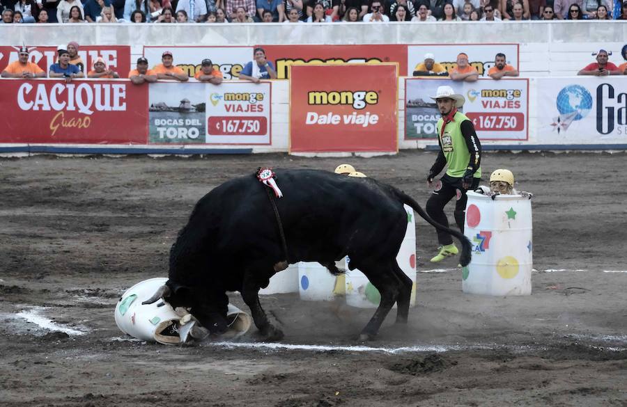 «Toreros improvisados» como se les conocen en Costa Rica, participan en una corrida de toros durante la tradicional Fiesta de Zapote, la cual se celebra anualmente entre la última semana de diciembre y la primera de enero, hoy en San José (Costa Rica).
