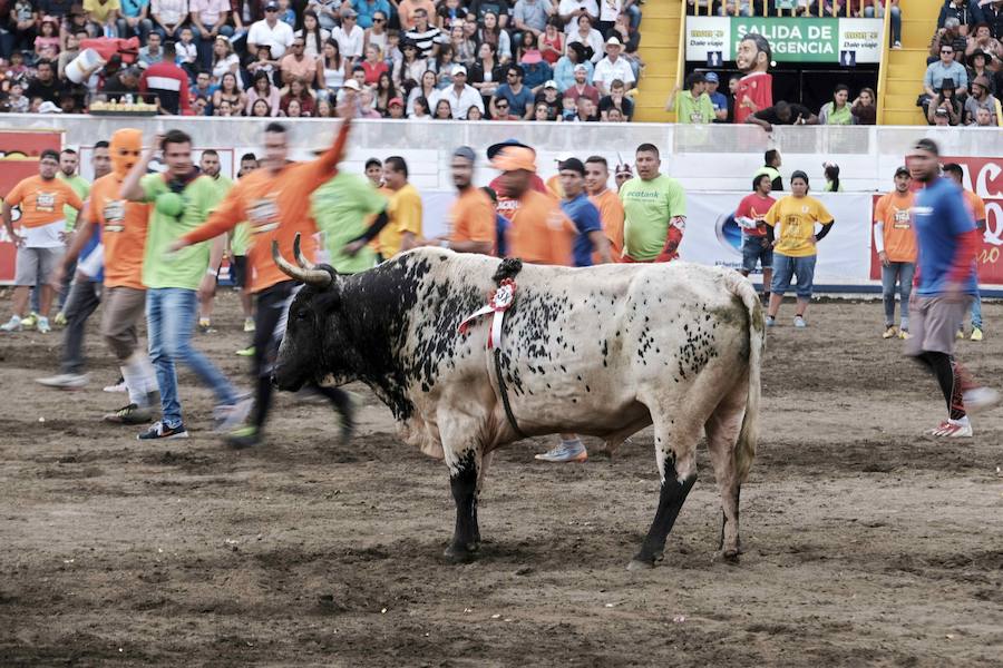 «Toreros improvisados» como se les conocen en Costa Rica, participan en una corrida de toros durante la tradicional Fiesta de Zapote, la cual se celebra anualmente entre la última semana de diciembre y la primera de enero, hoy en San José (Costa Rica).