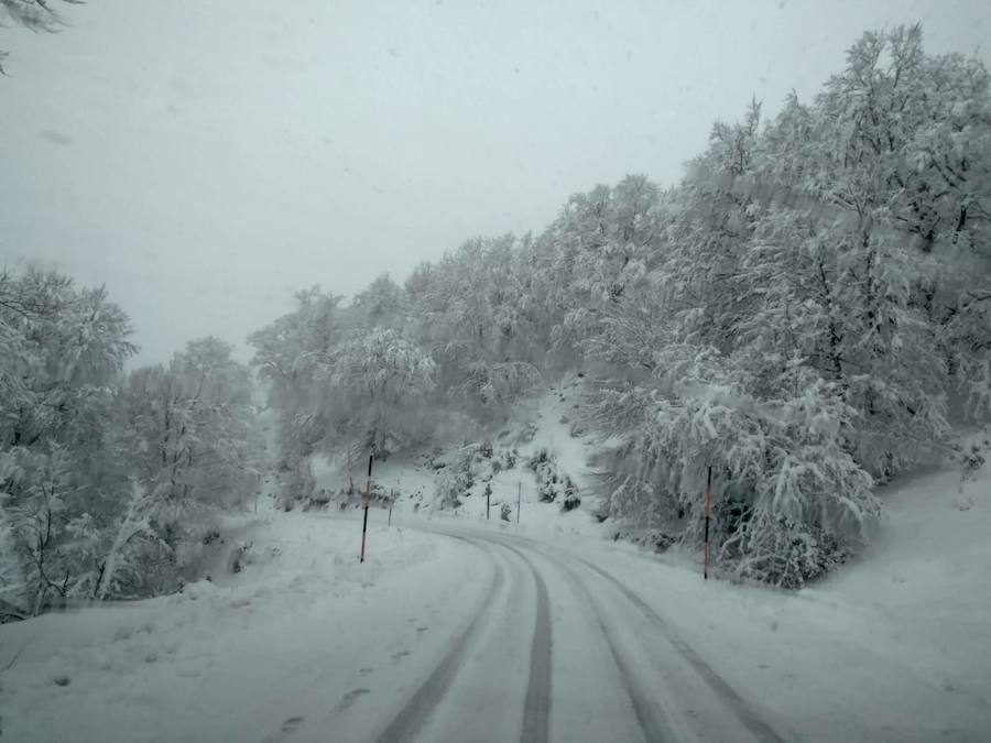 La nieve ha llegado a los montes de Gipuzkoa y ya complica la circulación en varios puntos del territorio, como en Pagozelai. Los camiones con sal ya están operativos. También ha hecho presencia en las campas de Urbia y en Aralar. La lluvia ha sido la protagonista, asimismo, del mal tiempo este martes.