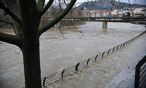 El río Oria antes de la pleamar