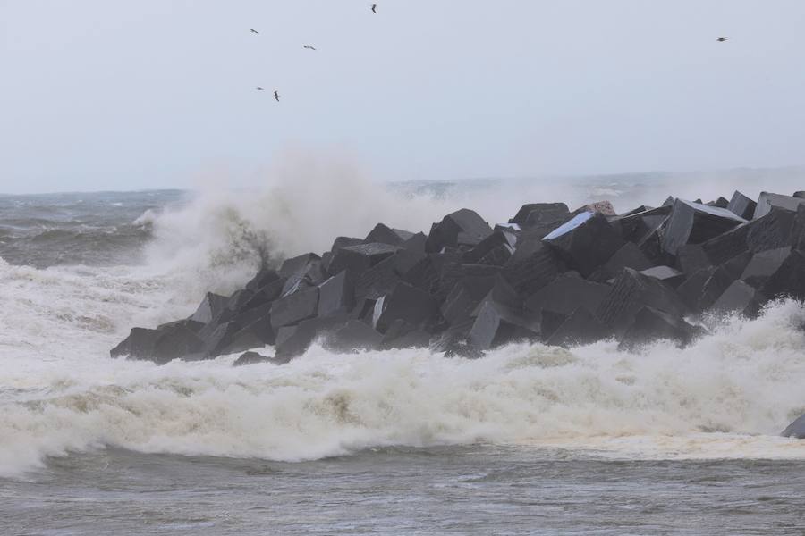 El frío, la lluvia, el viento y el fuerte oleaje siguen siendo los protagonistas de un tiempo invernal en Donostia. Los bomberos han realizado una docena de actuaciones a consecuencia del viento. Se ha cortado el acceso al Paseo Nuevo, el Peine del Viento y al espigón de la Zurriola. También se ha prohibido el acceso al parque Cristina Enea, mientras que Urgull, Aiete y Miramar se encuentran parcialmente cerrados. 
