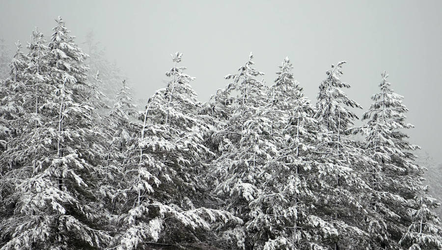 Los primeros copos de nieve han llegado esta mañana a Berastegi y a la A-15 en Pagozelai