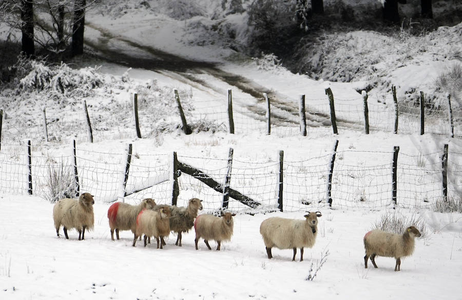 Los primeros copos de nieve han llegado esta mañana a Berastegi y a la A-15 en Pagozelai