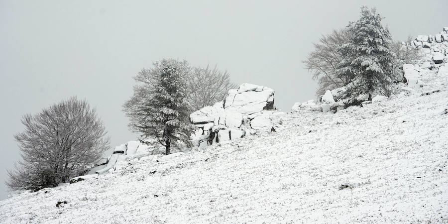Los primeros copos de nieve han llegado esta mañana a Berastegi y a la A-15 en Pagozelai