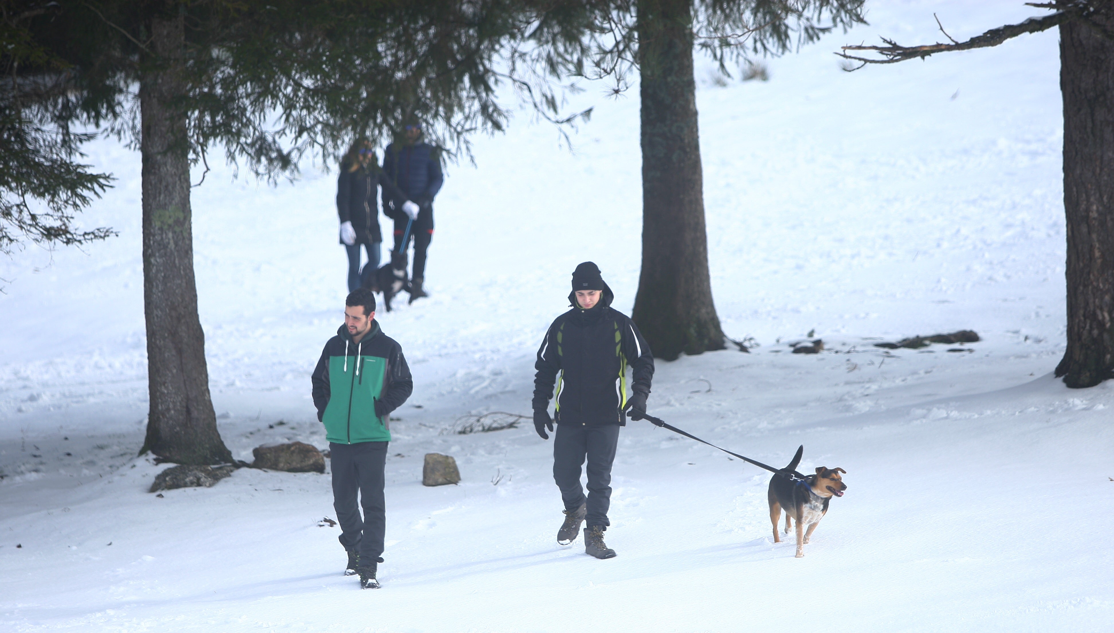 Muchos quisieron aprovechar una agradable jornada de domingo disfrutando de la nieve. En Bianditz, por ejemplo, no faltaron los trineos o los tradicionales muñecos.