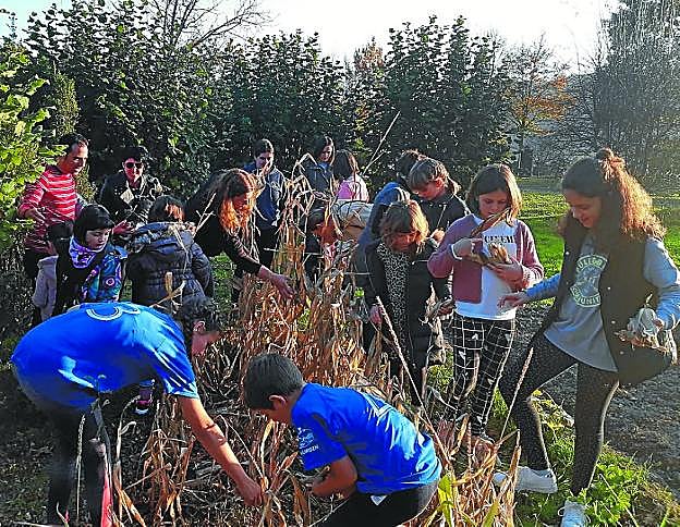 Aurrekoan ospatutako tailerrean arto ostoekin panpinak egin zituzten. 
