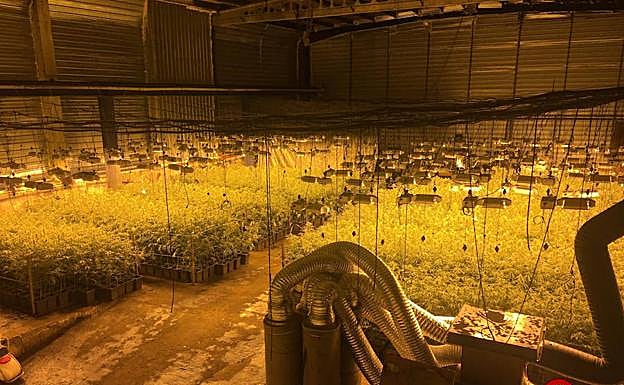 Imagen principal - La empresa de Zumaia.