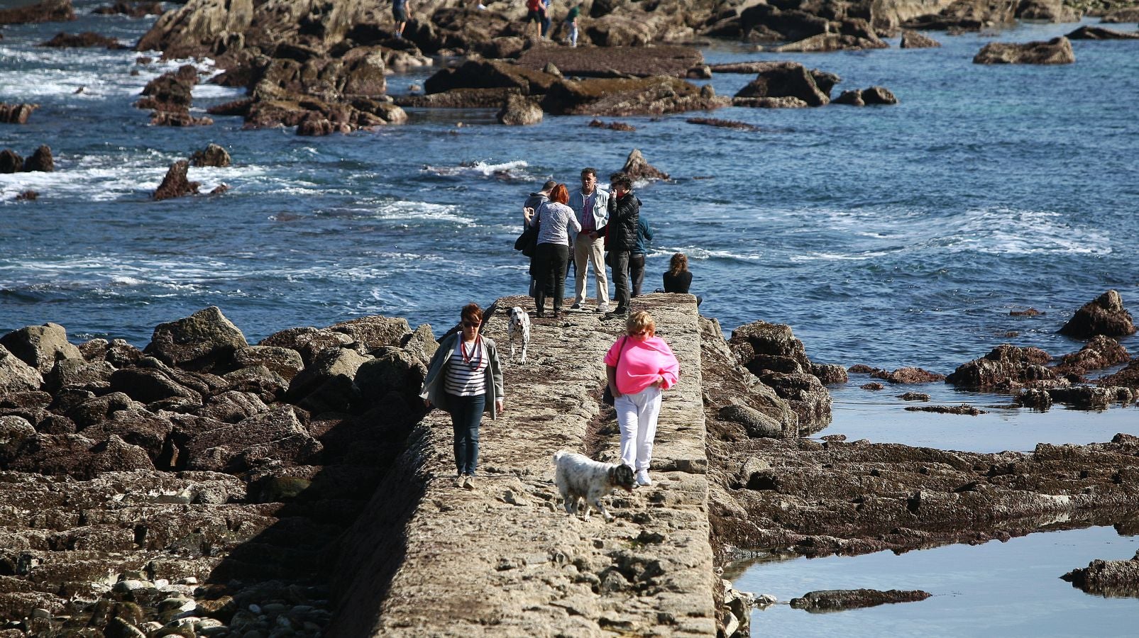 Las mareas vivas de estos días están dejando imágenes impresionantes en la costa guipuzcoana. Este jueves por la mañana el fondo marino de la playa donostiarra de Ondarreta ha quedado a la vista de los curiosos.