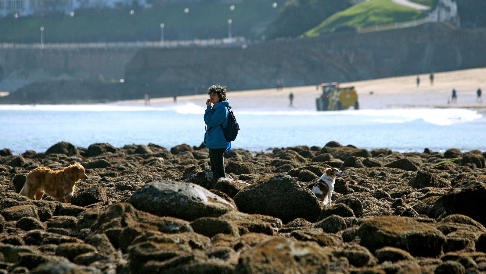 Las mareas vivas de estos días están dejando imágenes impresionantes en la costa guipuzcoana. Este jueves por la mañana el fondo marino de la playa donostiarra de Ondarreta ha quedado a la vista de los curiosos.