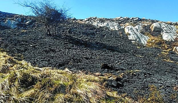Así quedó una de las zonas tras el incendio registrado en Hernio. 