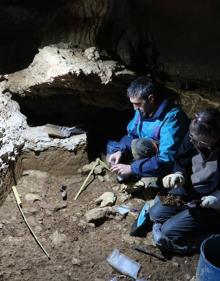 Imagen secundaria 2 - Imágenes de la cavidad en la que se han realizado los hallazgos, de las piezas mostradas en la presentación, (a la derecha, tres piezas dentarias de oso), y de trabajos de excavación., 