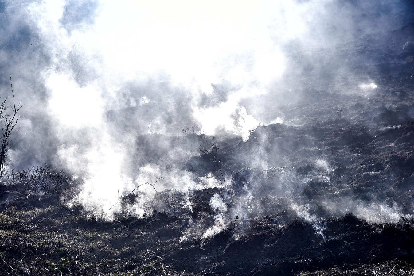 Hacia la una de la madrugada de este miércoles, los bomberos han tenido que actuar de urgencia, ya que el fuego ha llegado rápidamente a zonas cercanas a Bedaio y a la cima del monte Zabalegi.