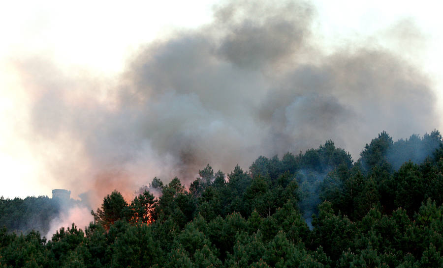 Un incendio forestal ha afectado este miércoles por la tarde a una zona del monte Jaizkibel.