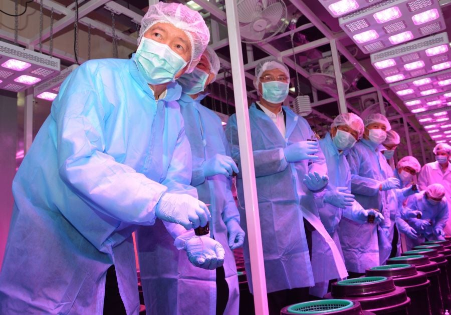 La Organización Gubernamental Farmacéutica (GPO, siglas en inglés) en Pathum Tani, Tailandia ha inaugurado el invernadero para plantar el primer cultivo legal de marihuana para su uso médico.