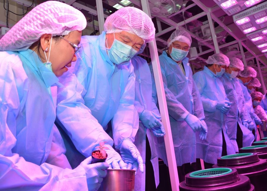 La Organización Gubernamental Farmacéutica (GPO, siglas en inglés) en Pathum Tani, Tailandia ha inaugurado el invernadero para plantar el primer cultivo legal de marihuana para su uso médico.