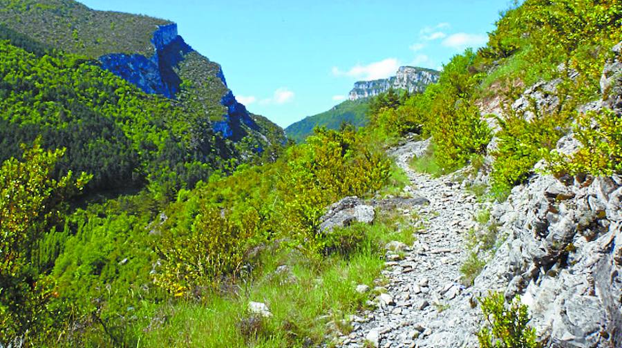 El valle de Belagua y de Roncal ofrecen la posibilidad de pasear por preciosos entornos naturales.